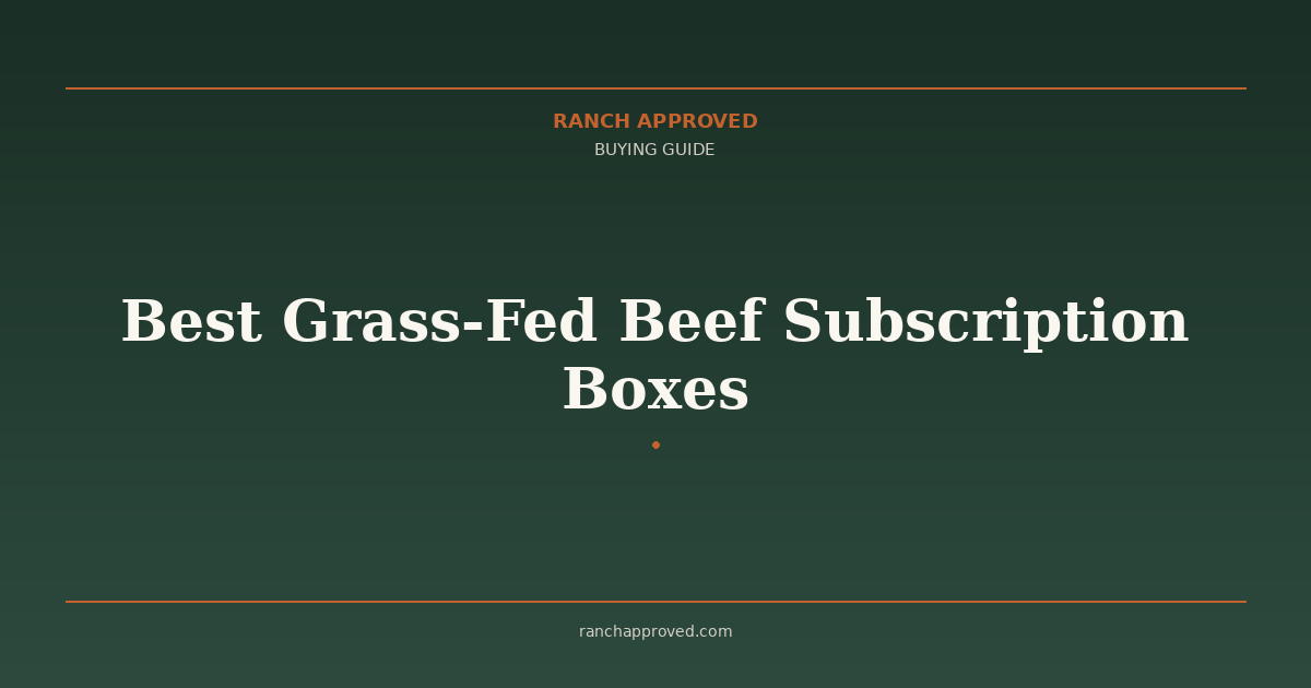 Best Grass-Fed Beef Subscription Boxes in 2026