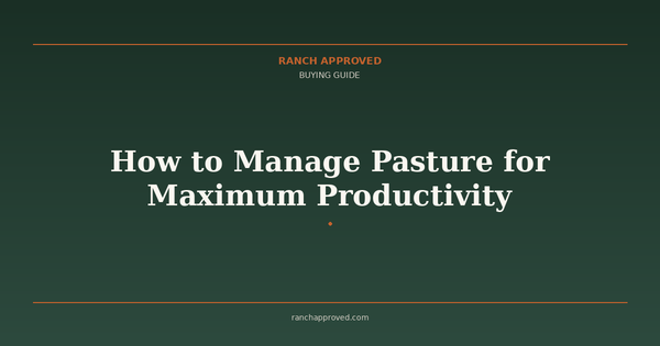 How to Manage Pasture for Maximum Productivity